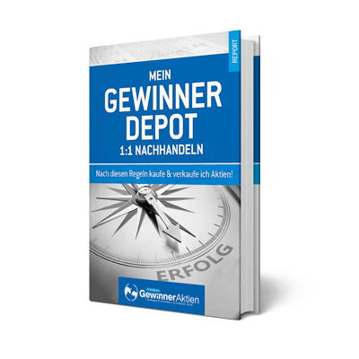 E-Book: Gewinner Depot